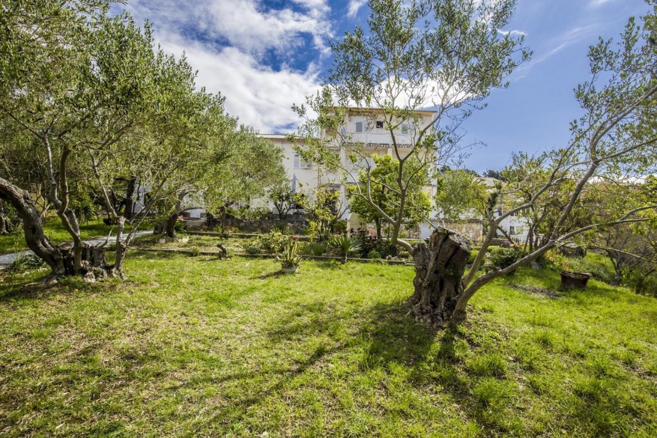 Rooms Padovan Банёл Экстерьер фото